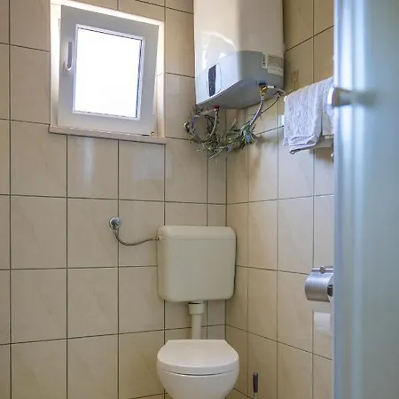 Ana * קורצולה